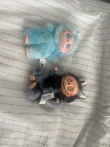 Teddys
