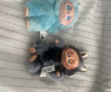 Teddys