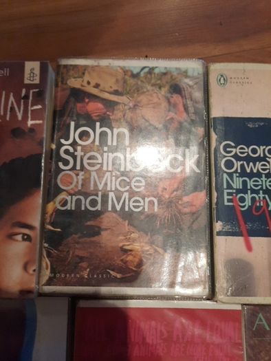 Novels for secondary school