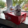 Nike runners Image 3