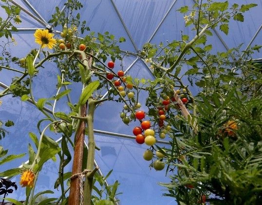 Deluxe 5m(16.4ft) Extremely Strong Structure For Irish Weather Dome Igloo Glamping