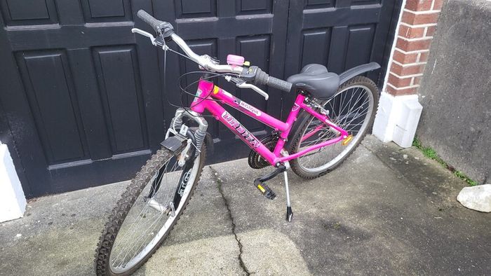 Older Childs/Teenager/Small Lady Bicycle