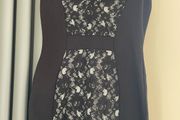 ladies dress coast size 8