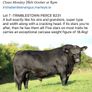 5 Choice Heifers and 6 Select Bulls Image 5