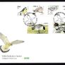2002-04 Ireland Tenth Definitive series Birds An Post on three First Day Cover (FDC) Image 3