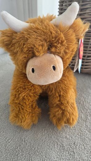 Keeleco teddy| brand new
