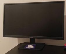 Samsung 22" monitor