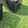 Plant pots Image 4