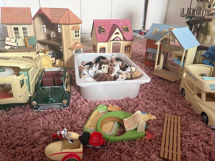 Sylvanium families