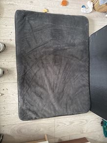 Travel dog bed