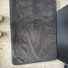 Travel dog bed