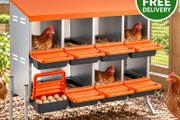 Chicken Nesting Boxes with 8 Compartments and Support Legs  Roll Away Egg Collection System