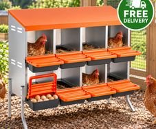 Chicken Nesting Boxes with 8 Compartments and Support Legs  Roll Away Egg Collection System