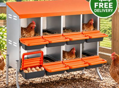 Chicken Nesting Boxes with 8 Compartments and Support Legs  Roll Away Egg Collection System