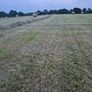 Quality Round Bales Of Hay Image 5