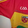carlow gaa jersey Image 4