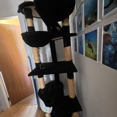 Cat tree