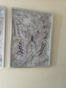 next pictures