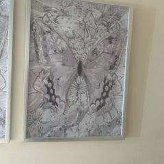 next pictures