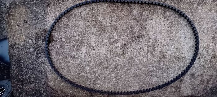 Belt