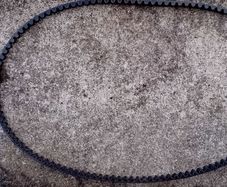 Belt