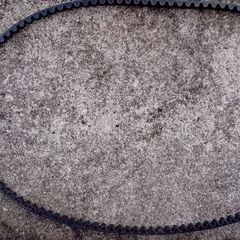 Belt