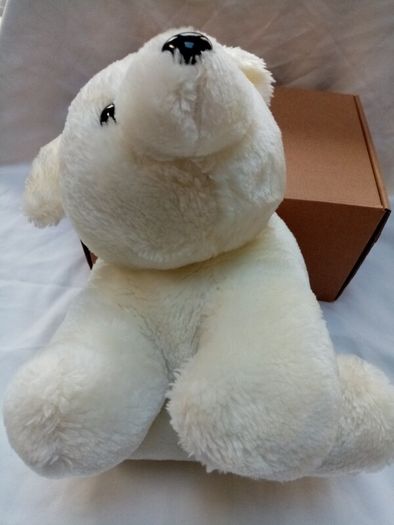 White Bear in a box