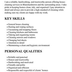 Home cleaning