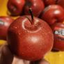 27 X Faux Fake Decorative Red Apples IN A VINTAGE Jacob's Buiscuit Tin. Image 3