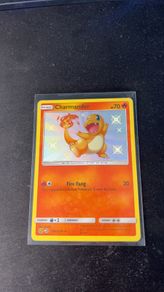 Charmander #SV6 Pokemon Hidden Fates