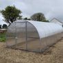 Greenhouse Strong Premium Image 8