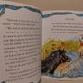 horse Stories Books by miles kelly Image 6