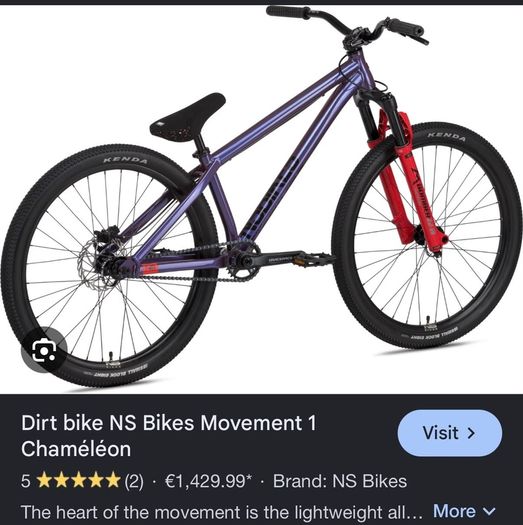 Dirt Bike NS Bikes Movement 1 Chameleon