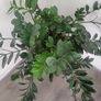 Zamioculcas Zamifolia planter Image 2