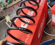 EIBACH R15912 Coil spring Rear