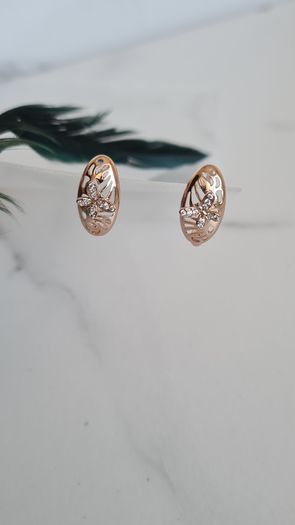 Brand new earrings
