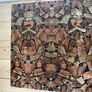 NEW PRICE DROP Coffee/Side Tables set of one off designed marquetry topped side tables Image 10