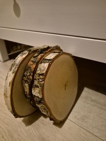 3 natural wood slices,  varnished
