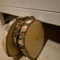 3 natural wood slices,  varnished