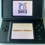 ds lite Image 2