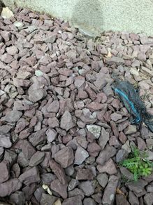 Free purple slate stone