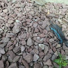 Free purple slate stone