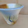 pot Image 5