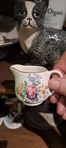 Tiny Tiniest! Jug