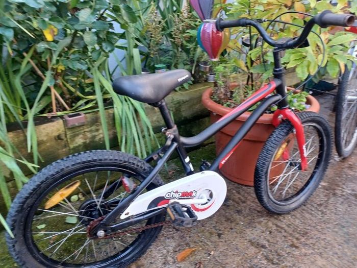 Chipmunk kids bike