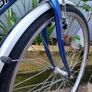 Goldrush bike Image 5