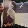 The Life of Birds by Sir David Attenborough (Hardcover, 1998) Image 8