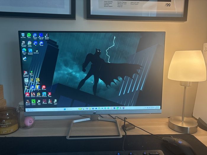 HP Monitor