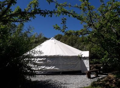 6 Metre Authentic hand Built Yurt - Glamping/Garden Room