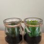 home decor Image 6